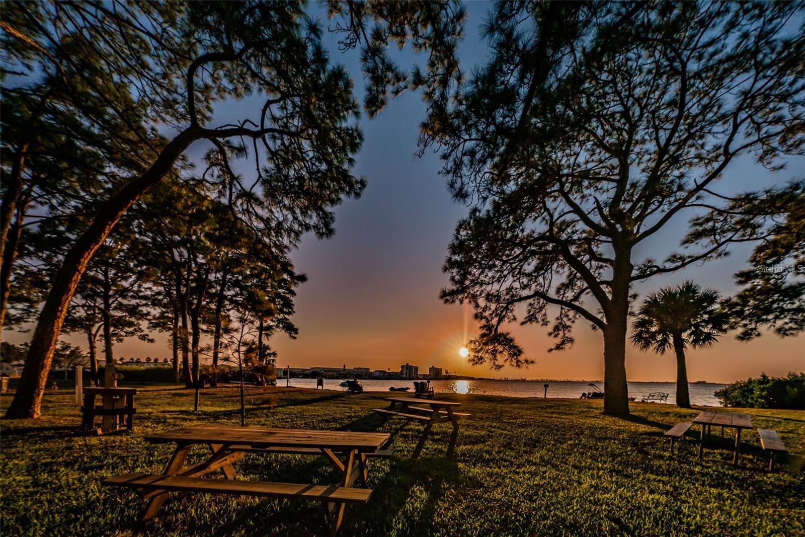 Image 24 of 45 For 2700 Bayshore Boulevard 2208