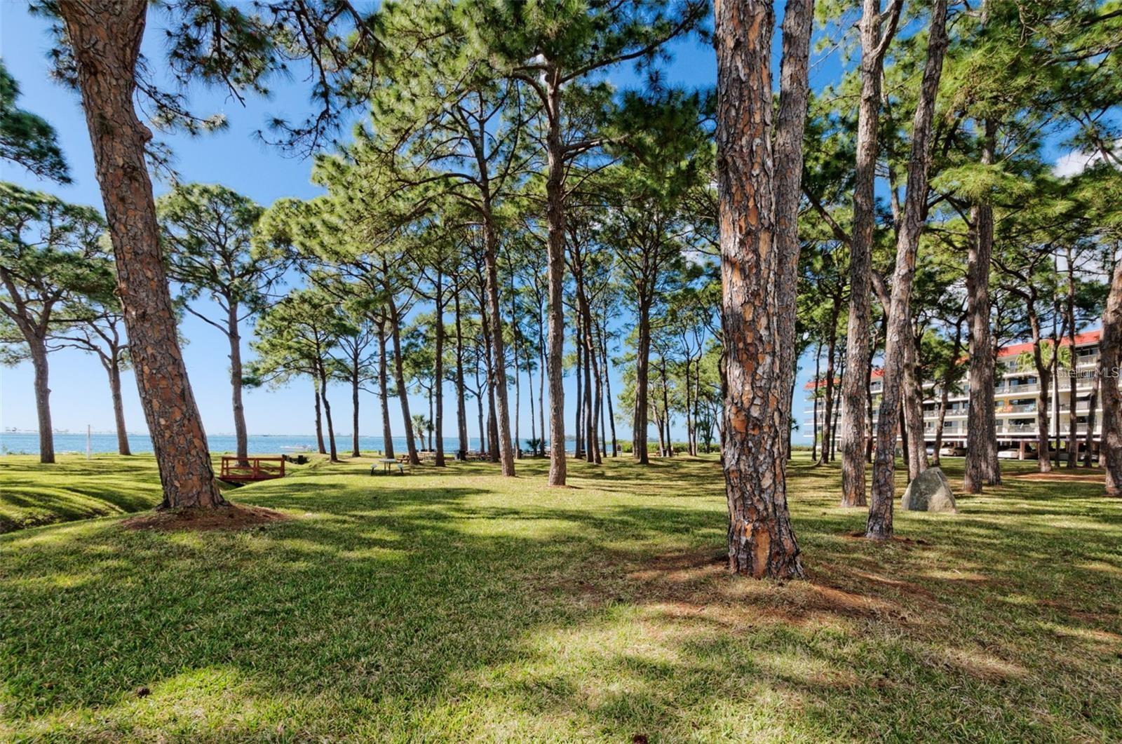 Image 29 of 45 For 2700 Bayshore Boulevard 2208