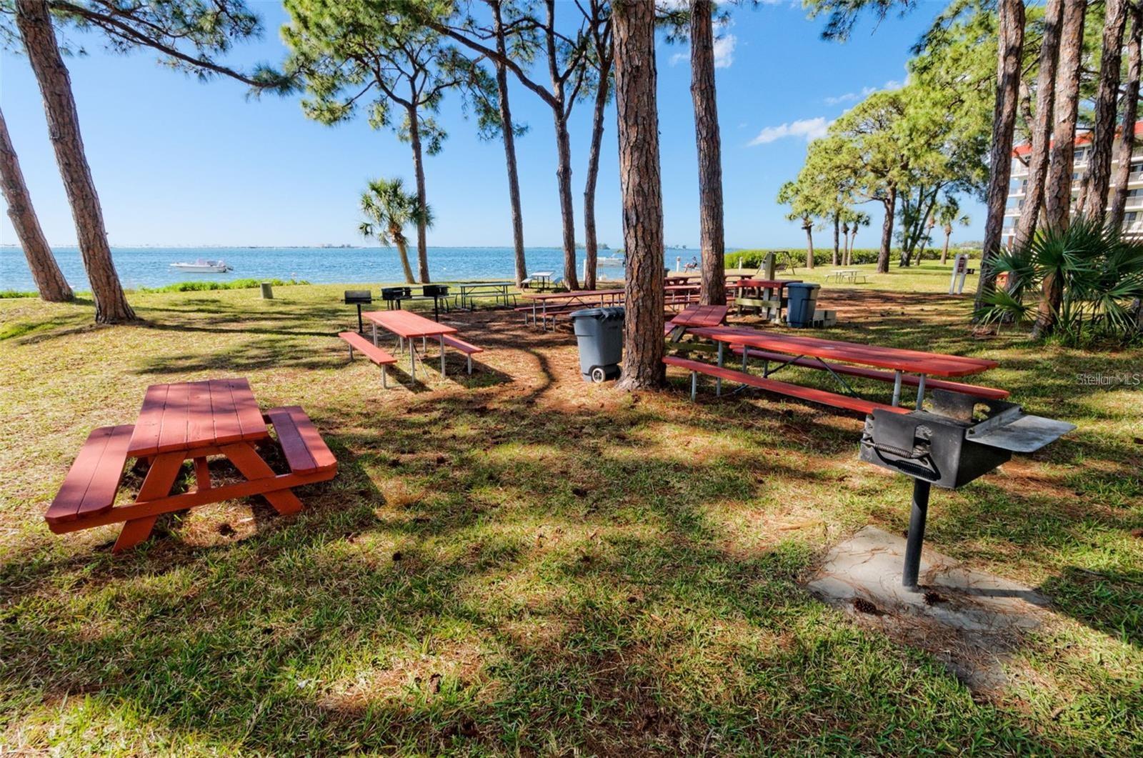 Image 32 of 45 For 2700 Bayshore Boulevard 2208