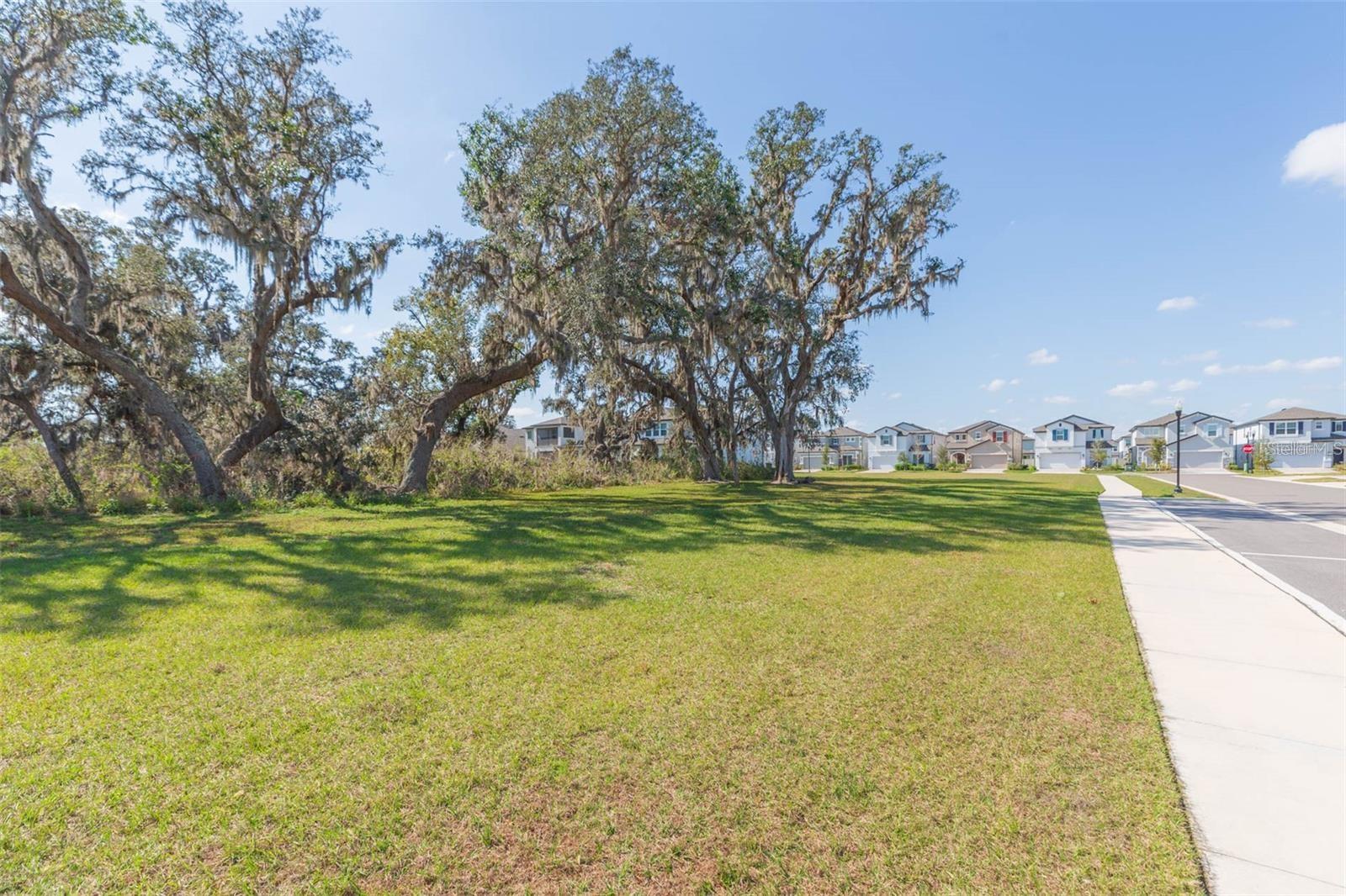 Listing photo id 56 for 7241 Notched Pine Bend