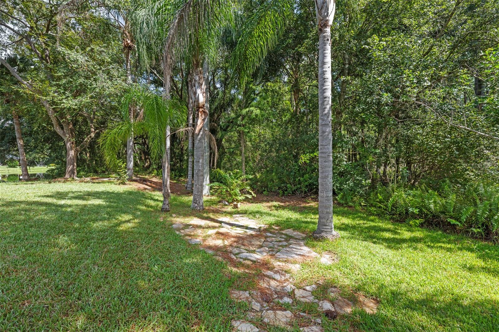 Image 51 of 56 For 5609 Piney Lane Drive