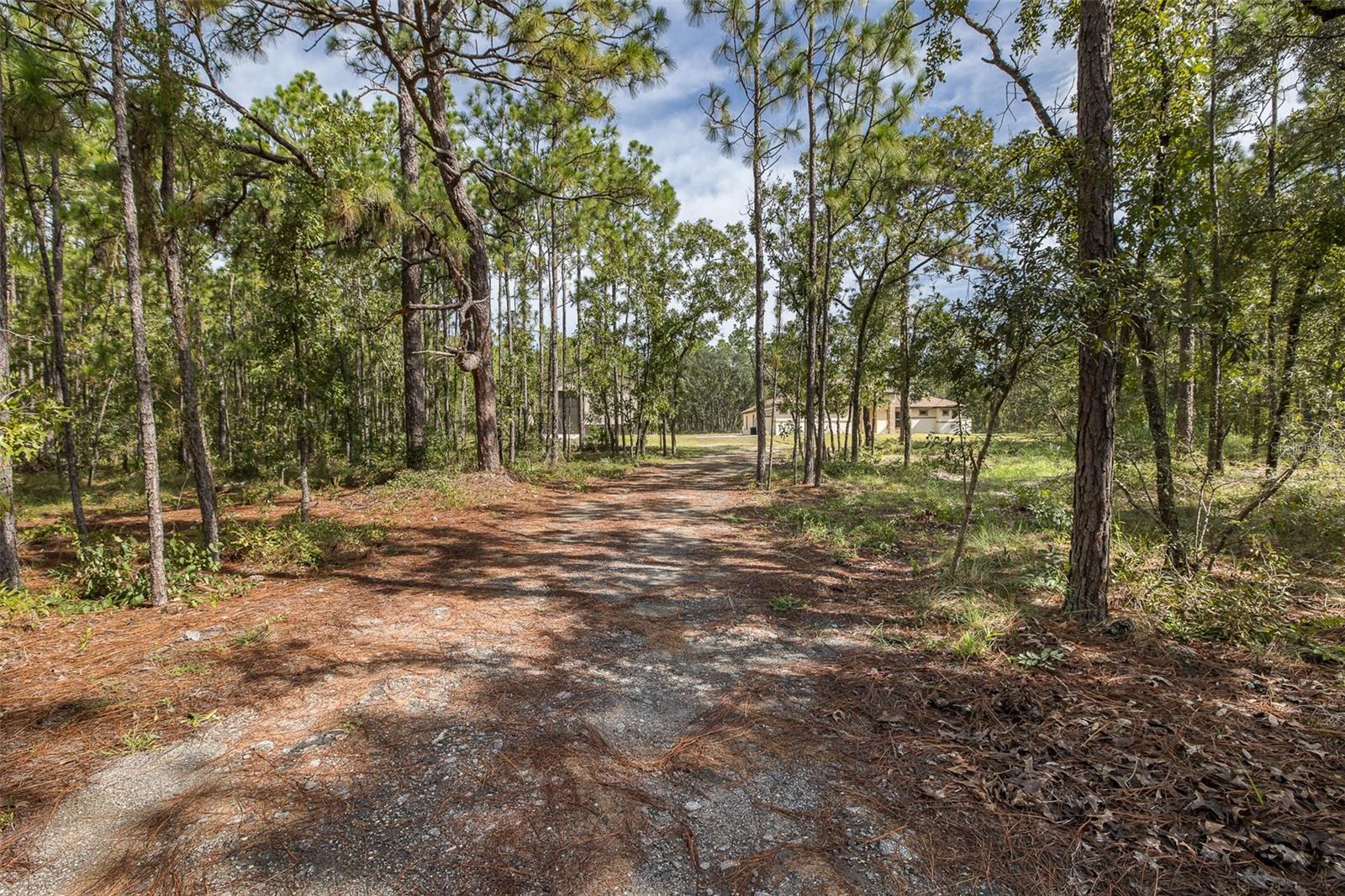 Image 8 of 65 For 15043 Hidden Deer Trail