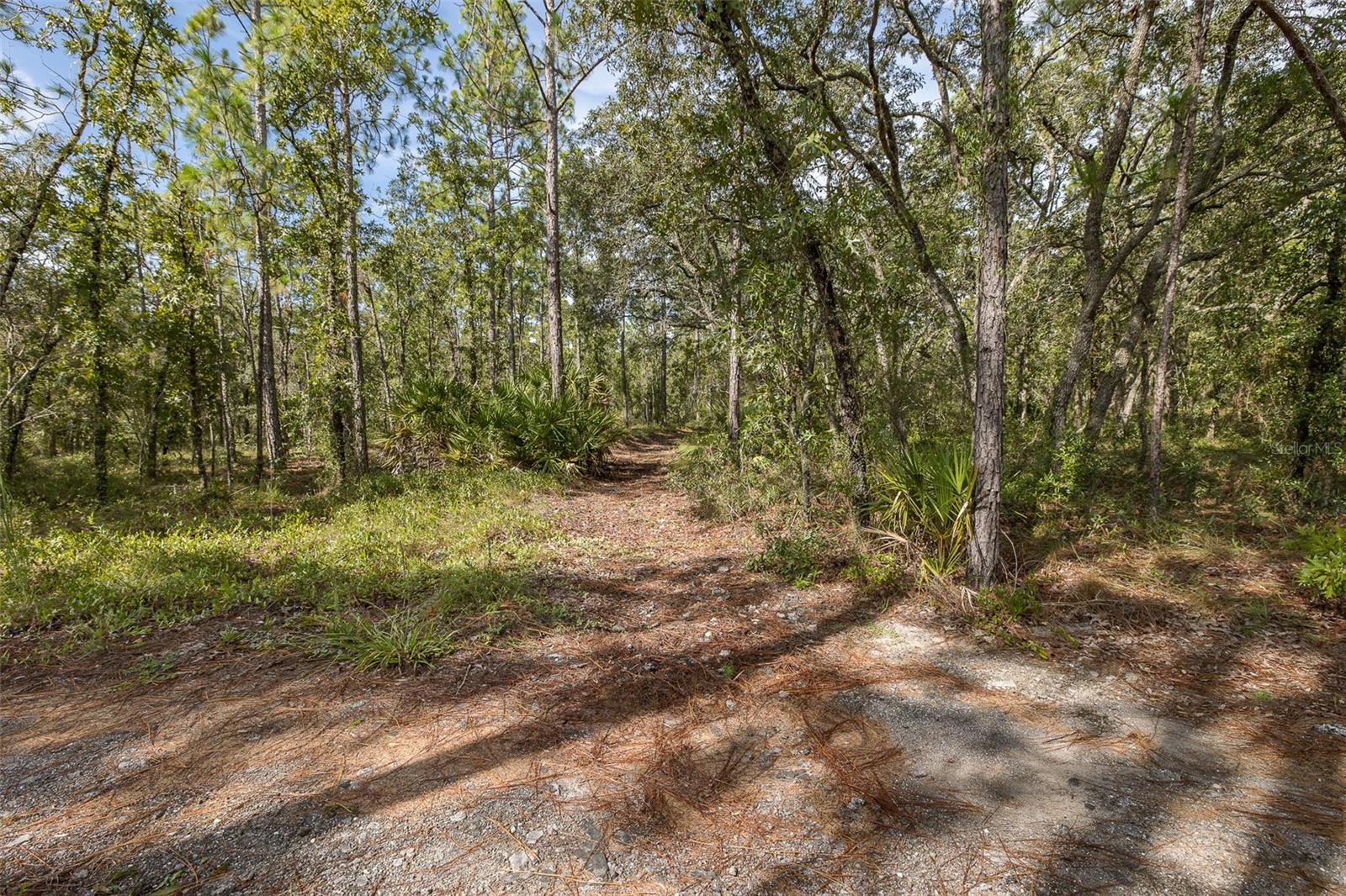 Image 9 of 65 For 15043 Hidden Deer Trail