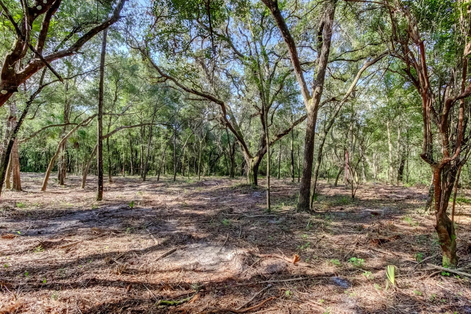 Details for 14004 Peace Boulevard, SPRING HILL, FL 34610
