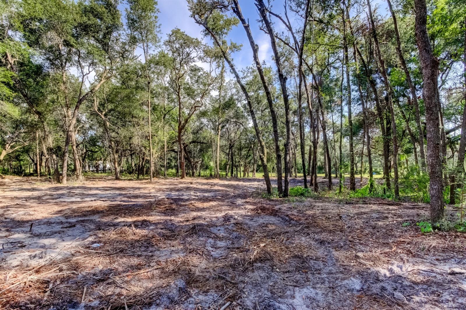 Image 4 of 33 For 14004 Peace Boulevard