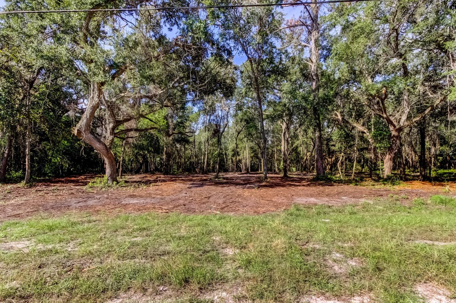 Image 6 of 33 For 14004 Peace Boulevard