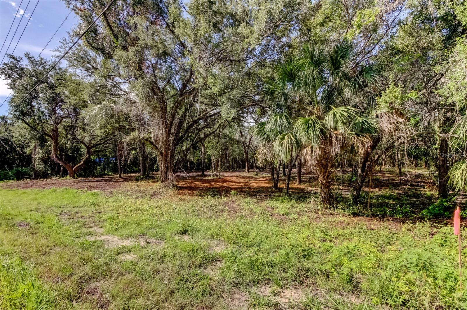 Image 7 of 33 For 14004 Peace Boulevard