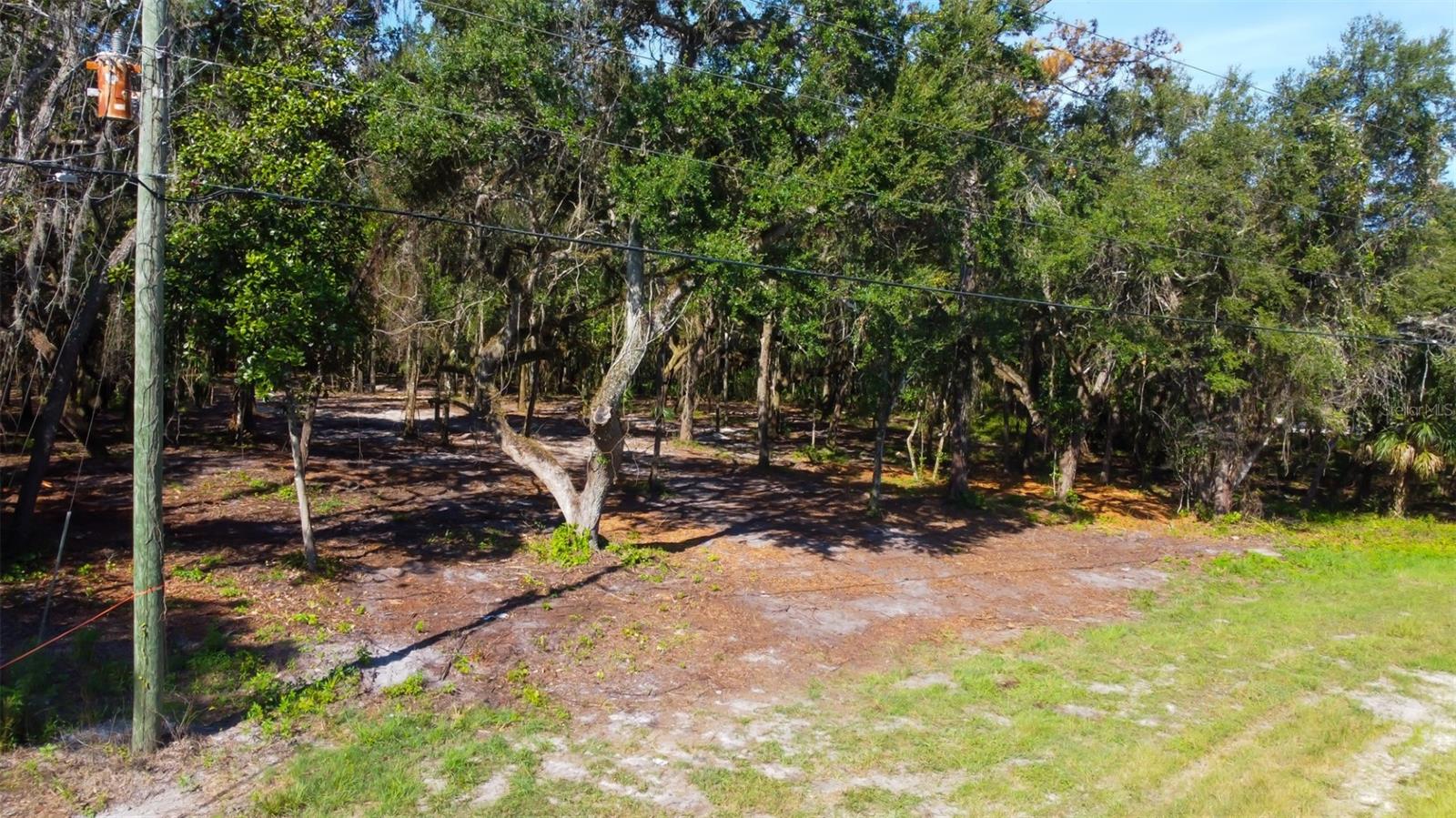 Image 8 of 33 For 14004 Peace Boulevard