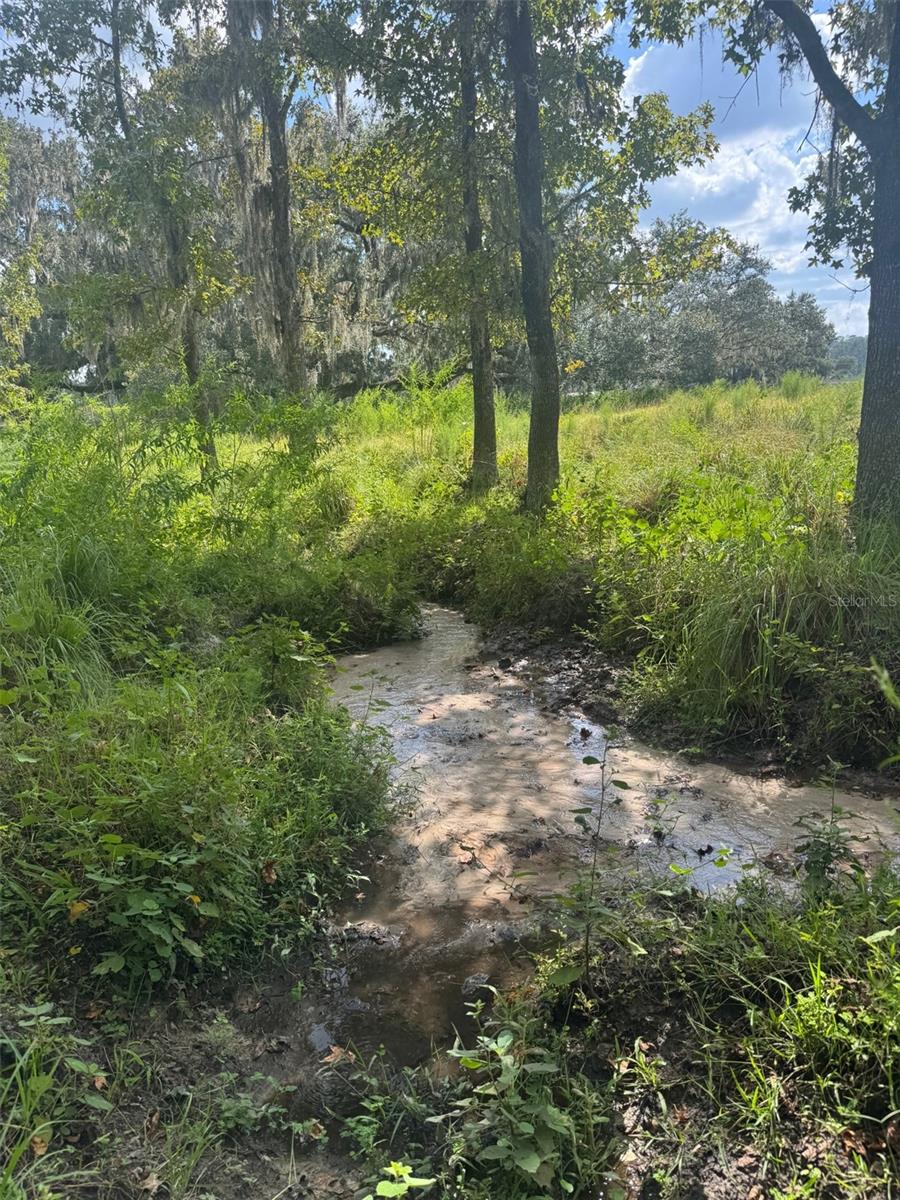 Listing photo id 67 for 36641 Blanton Road