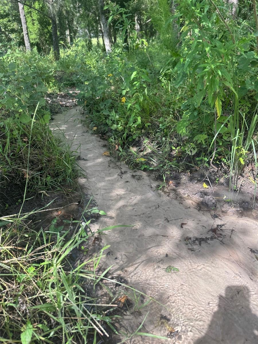 Listing photo id 68 for 36641 Blanton Road