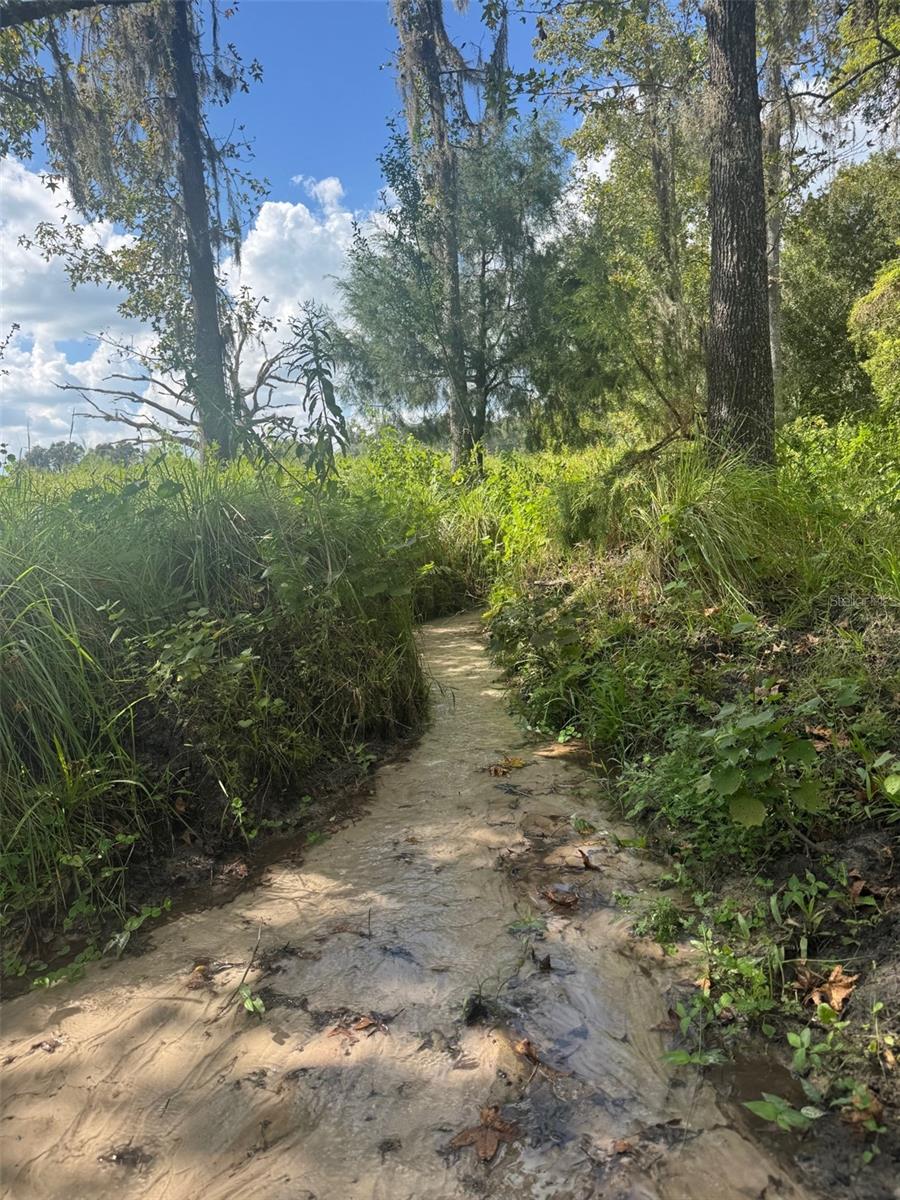 Listing photo id 69 for 36641 Blanton Road