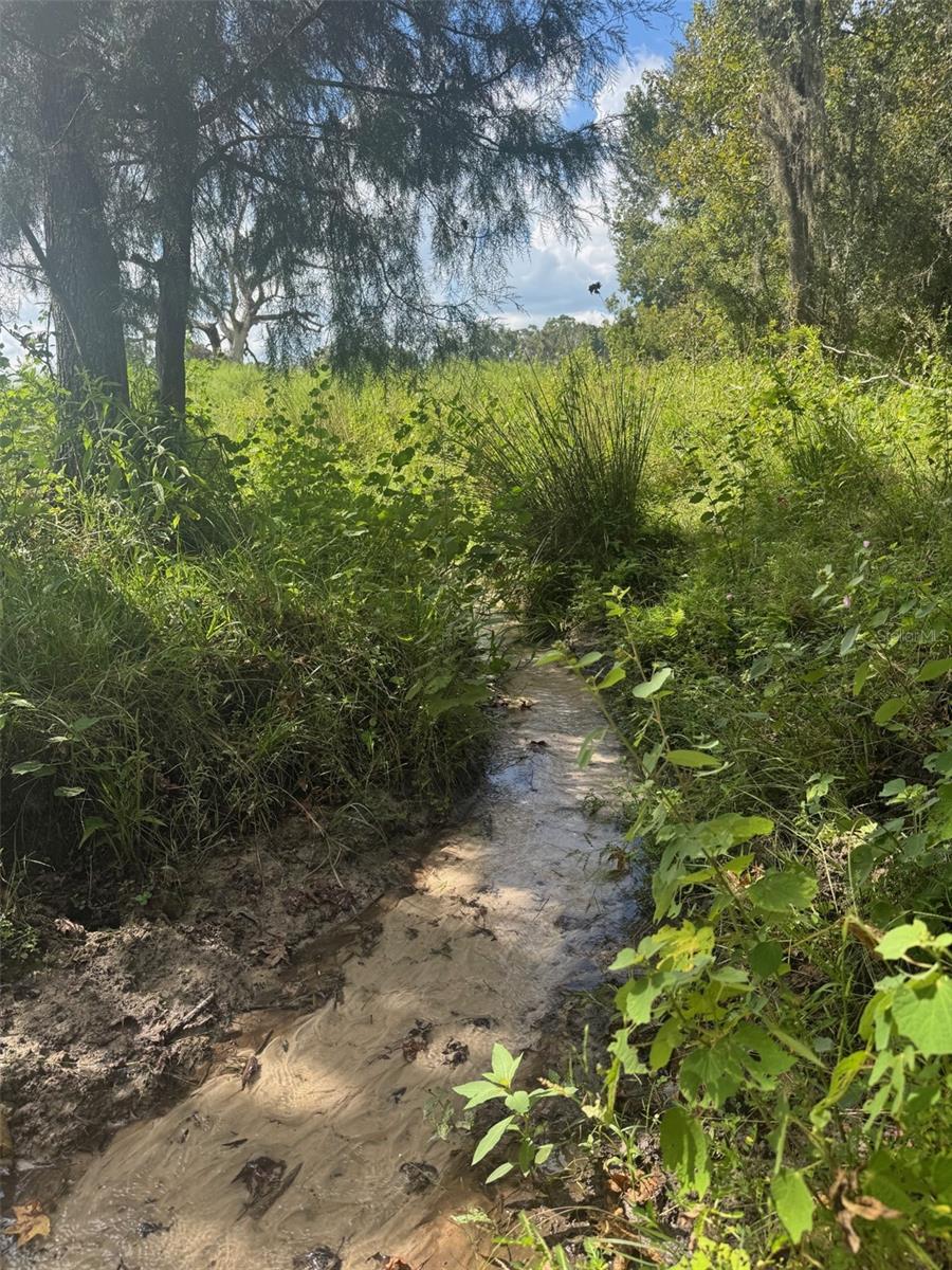 Listing photo id 70 for 36641 Blanton Road