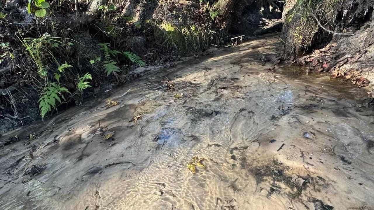 Image 73 of 77 For 36641 Blanton Road