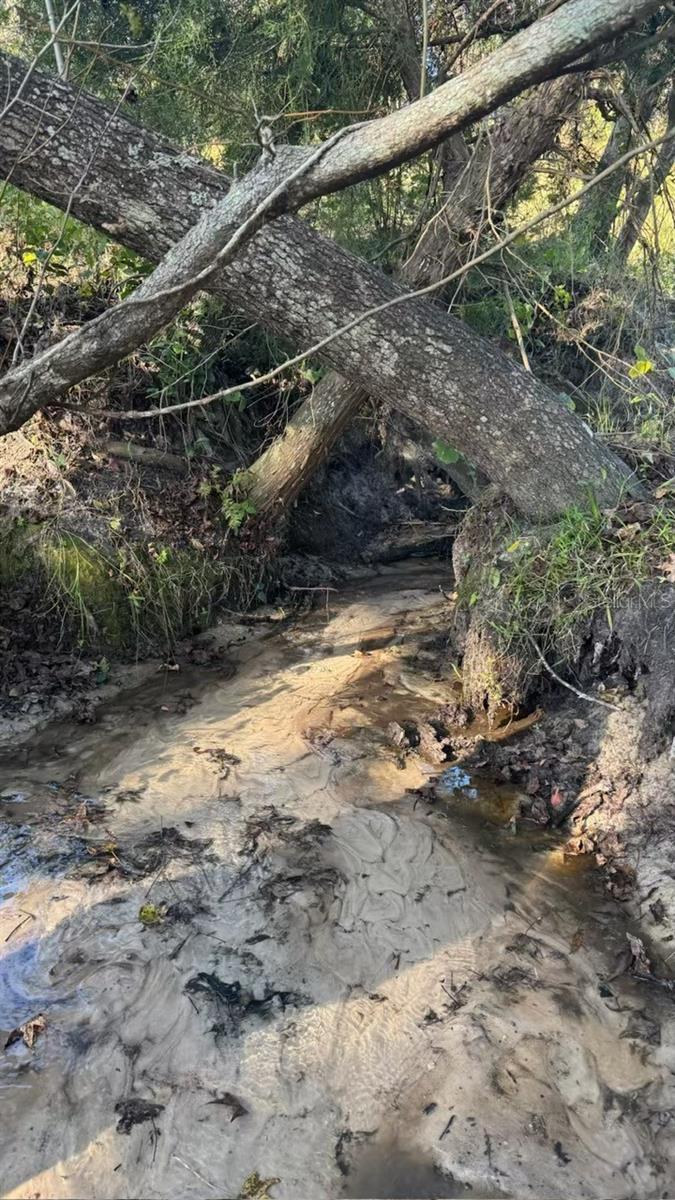 Image 74 of 77 For 36641 Blanton Road