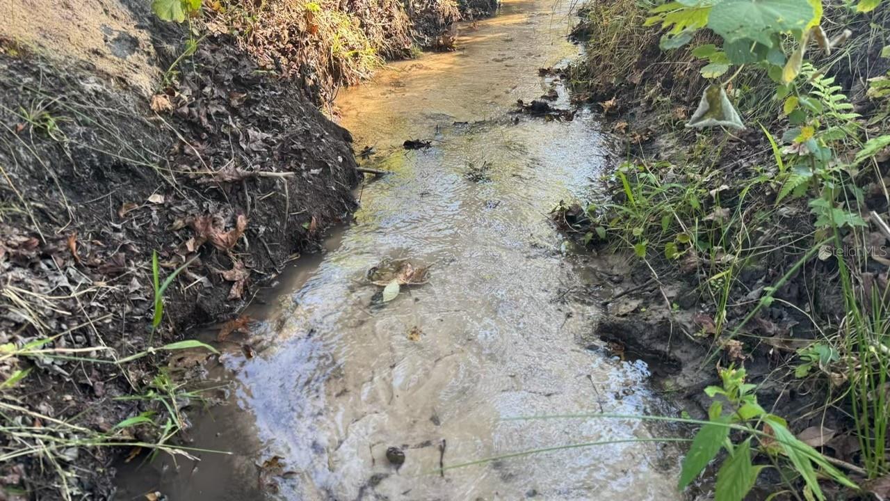 Image 75 of 77 For 36641 Blanton Road