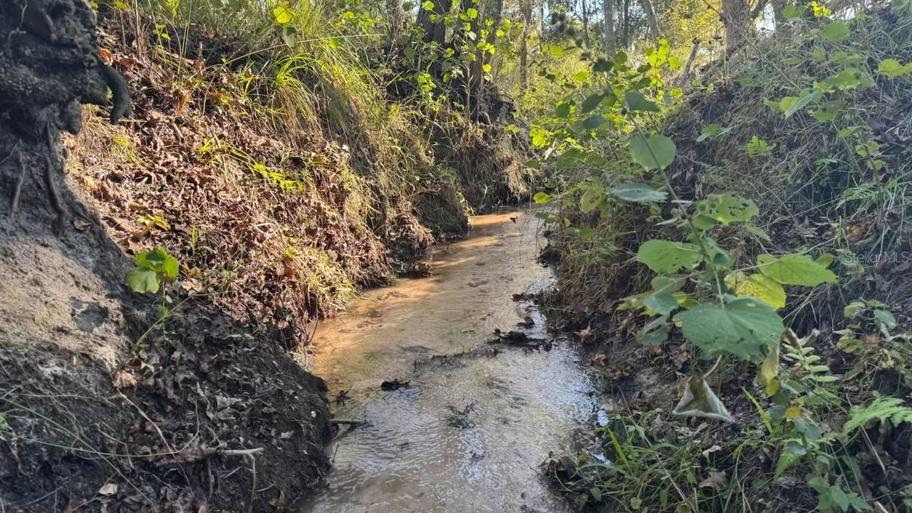 Image 76 of 77 For 36641 Blanton Road