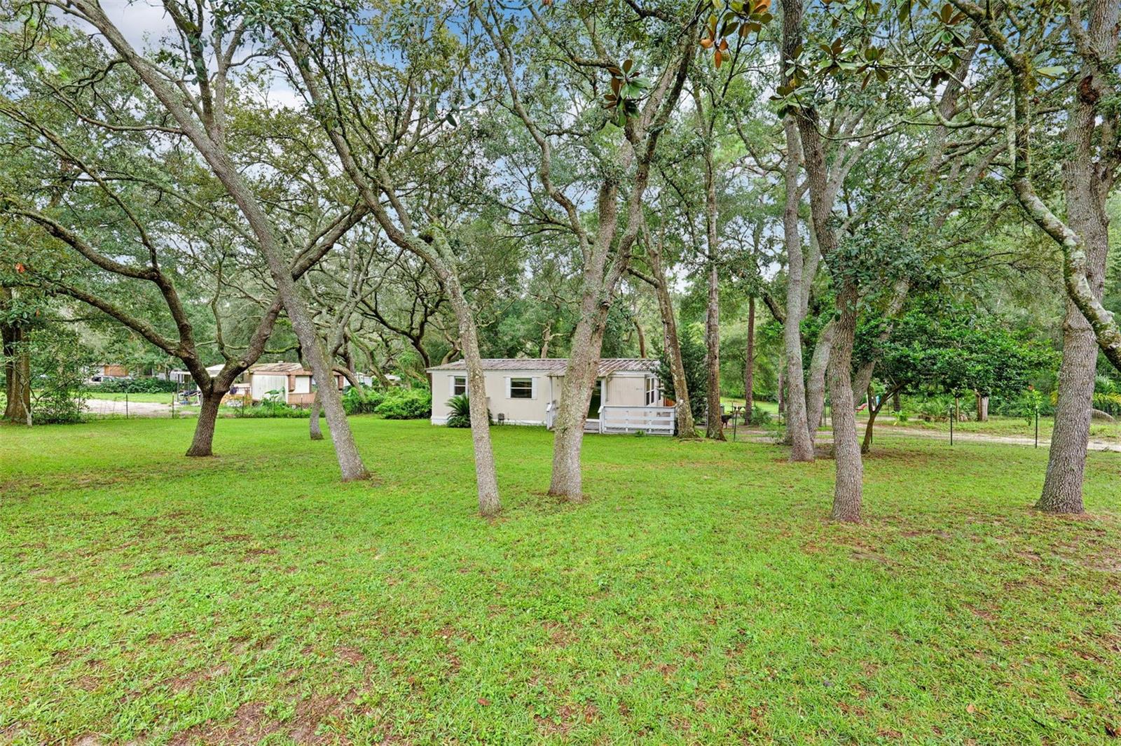 Image 34 of 47 For 35117 Cheshire Street