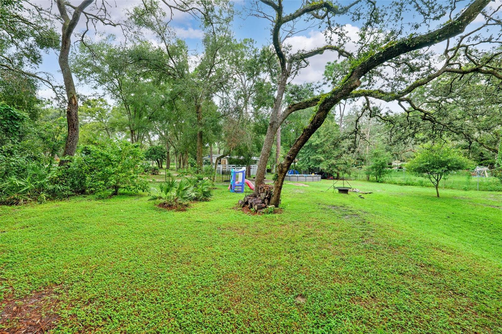 Image 36 of 47 For 35117 Cheshire Street