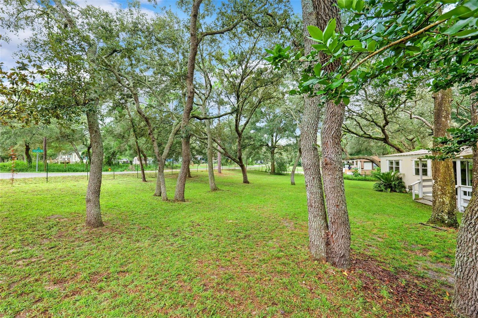 Image 5 of 47 For 35117 Cheshire Street