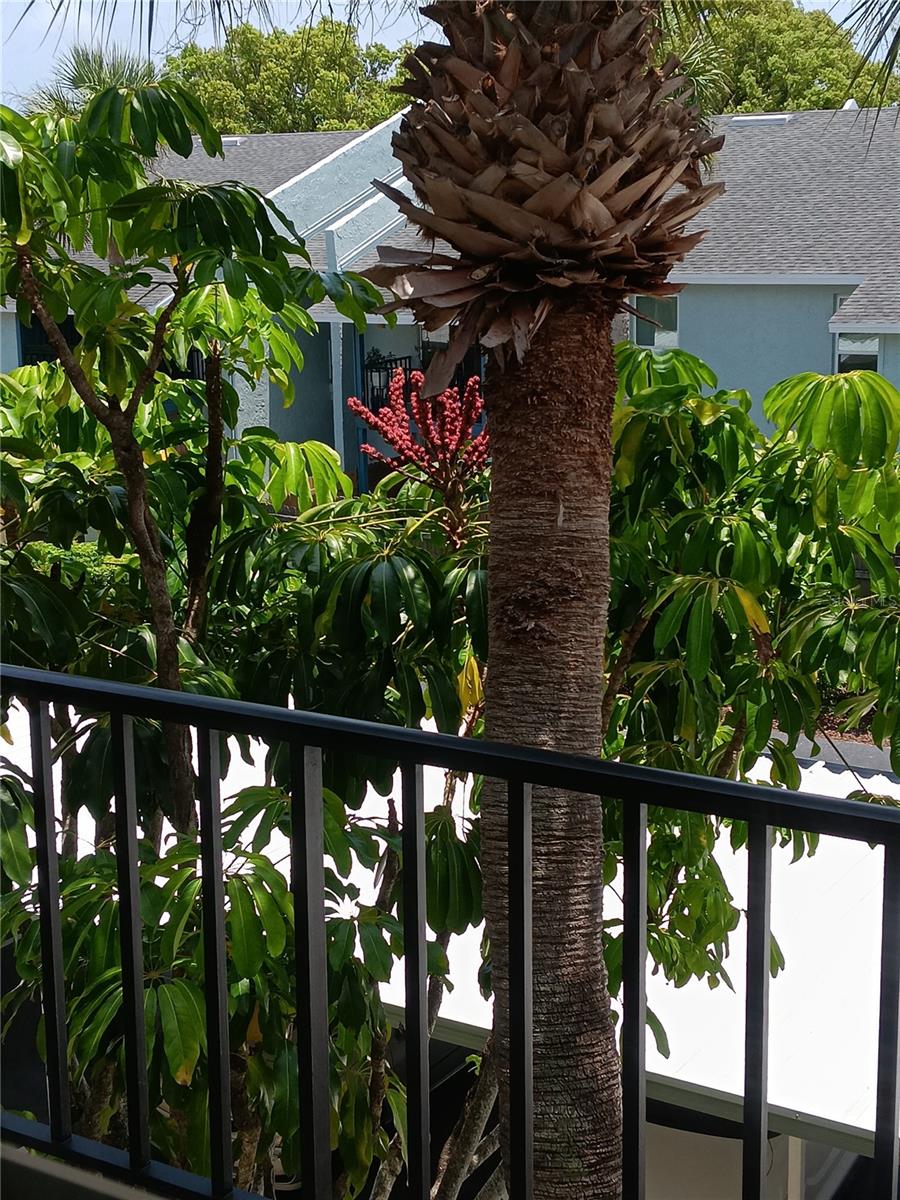 Image 17 of 22 For 11720 Park Boulevard 302