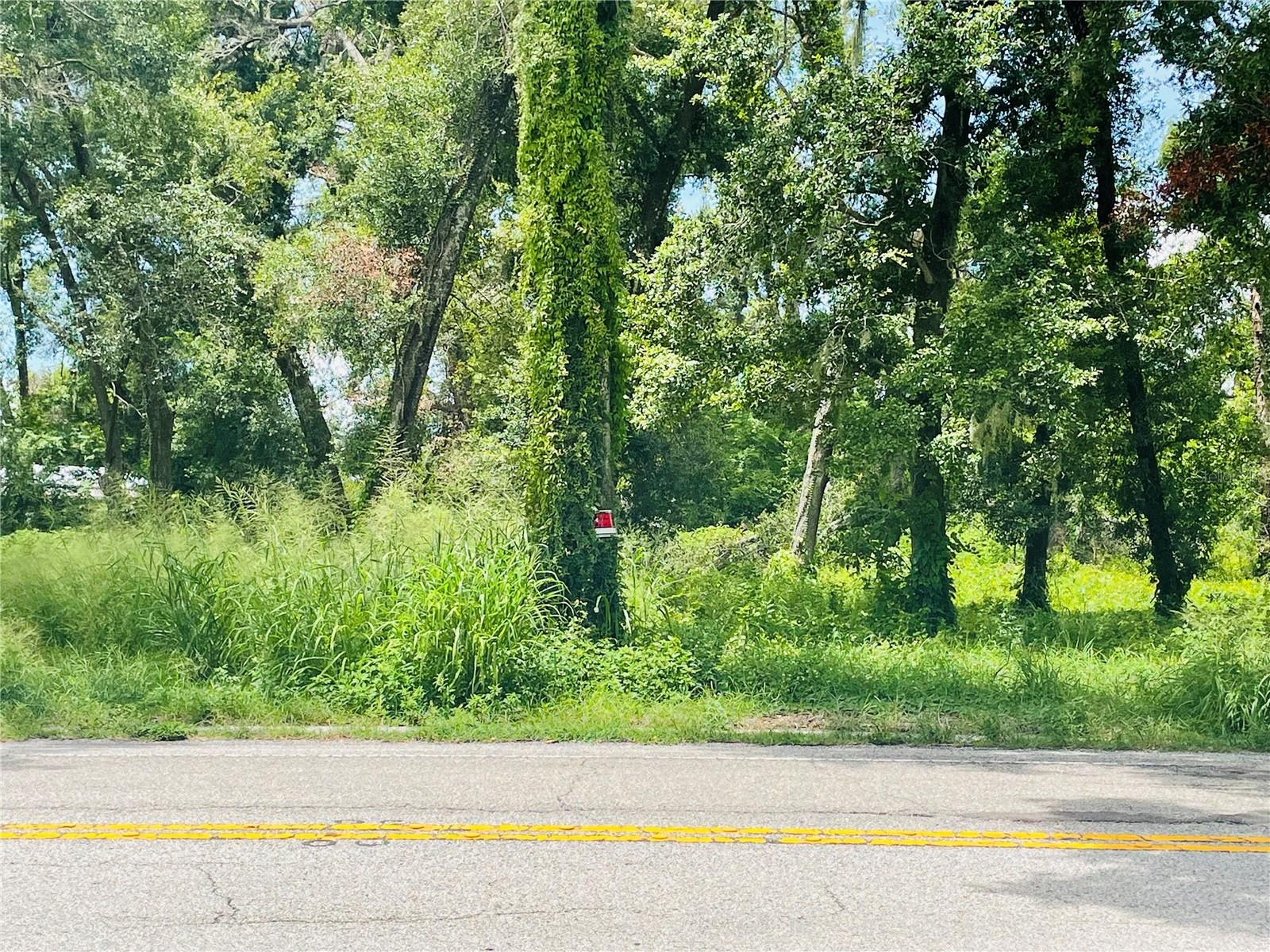 Image 3 of 4 For 712 Lithia Pinecrest Road