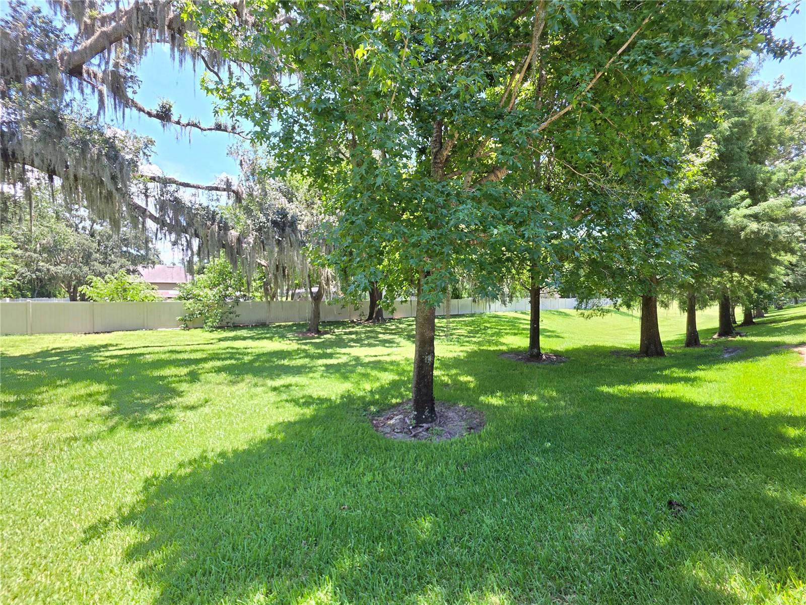 Image 19 of 20 For 3018 Royal Tuscan Lane