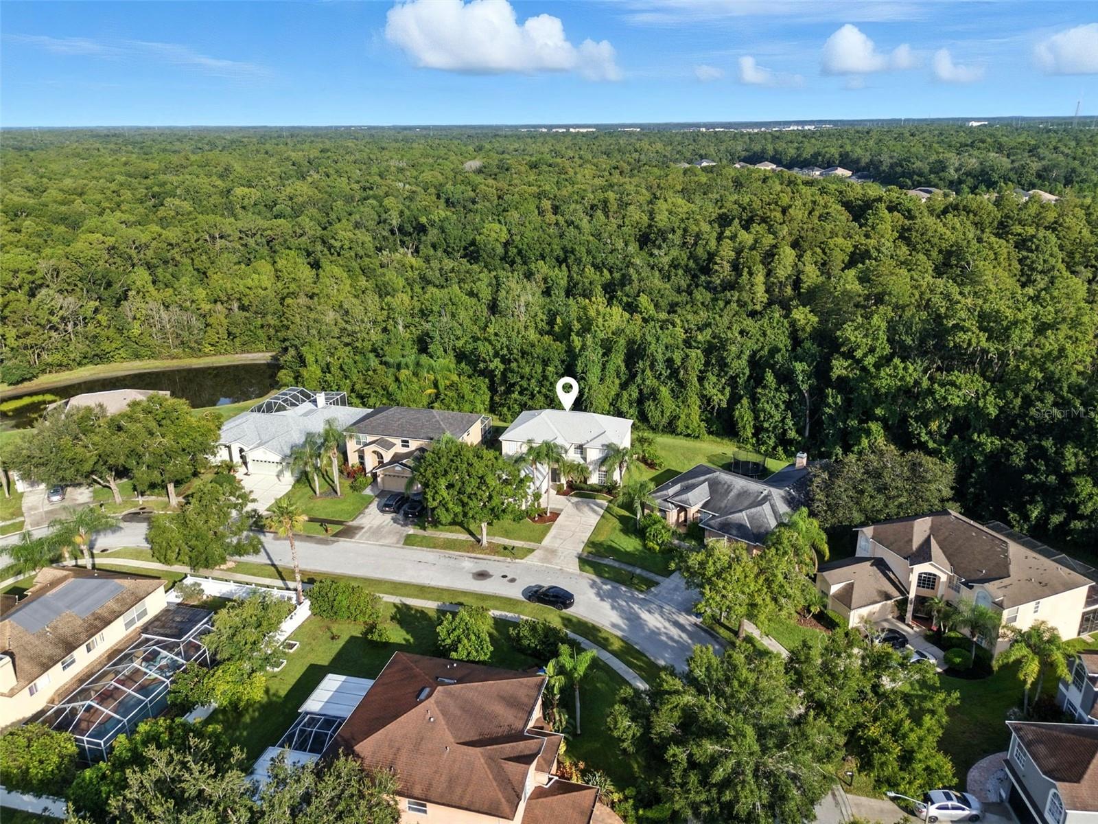 Image 2 of 56 For 1337 Caladesi Drive
