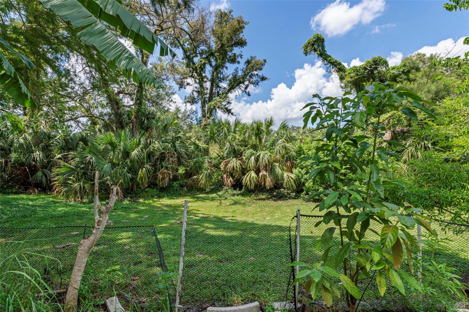 Image 30 of 42 For 7706 Cherrytree Lane