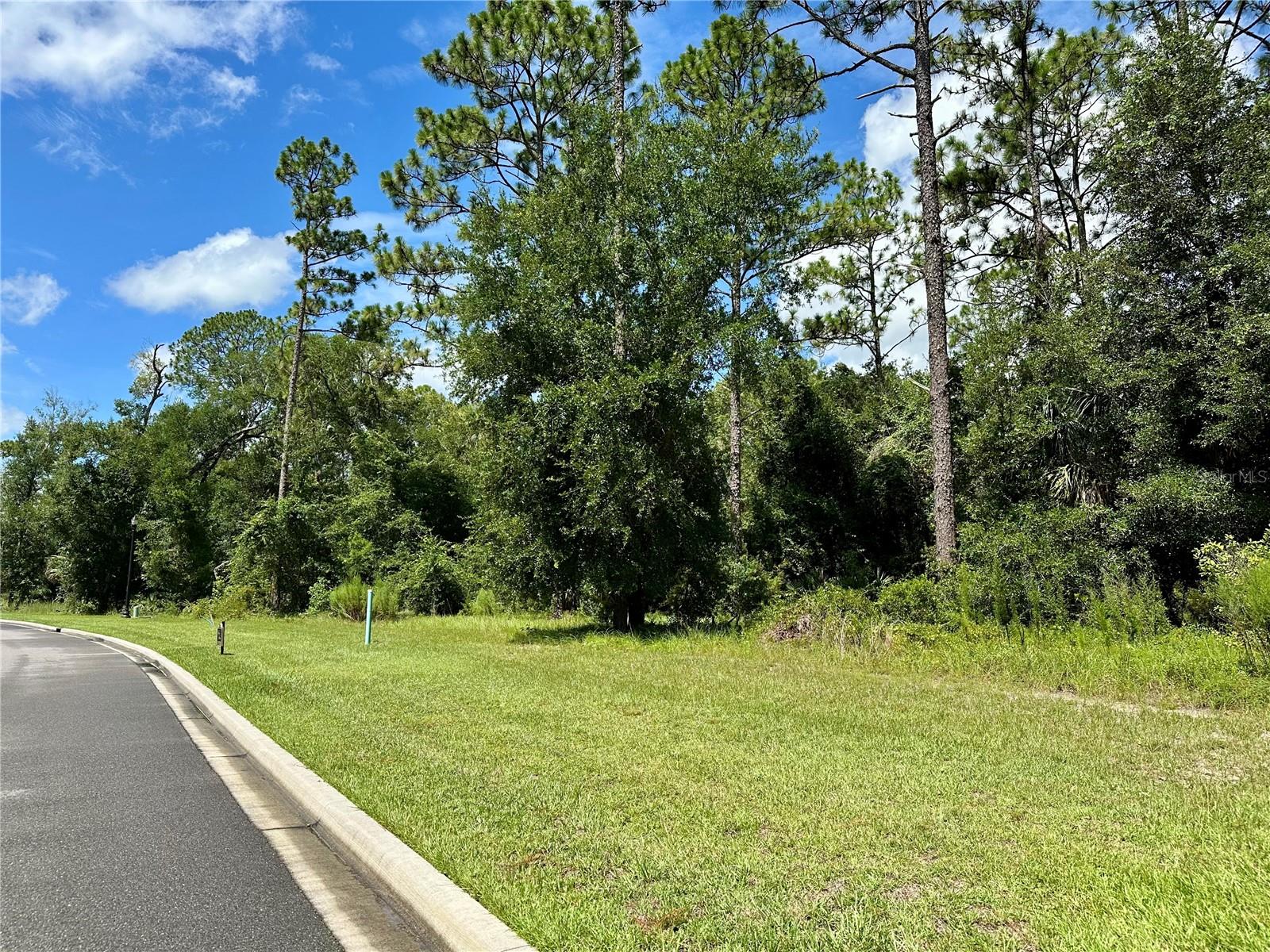 Image 4 of 6 For 1844 Adrian Creek Boulevard