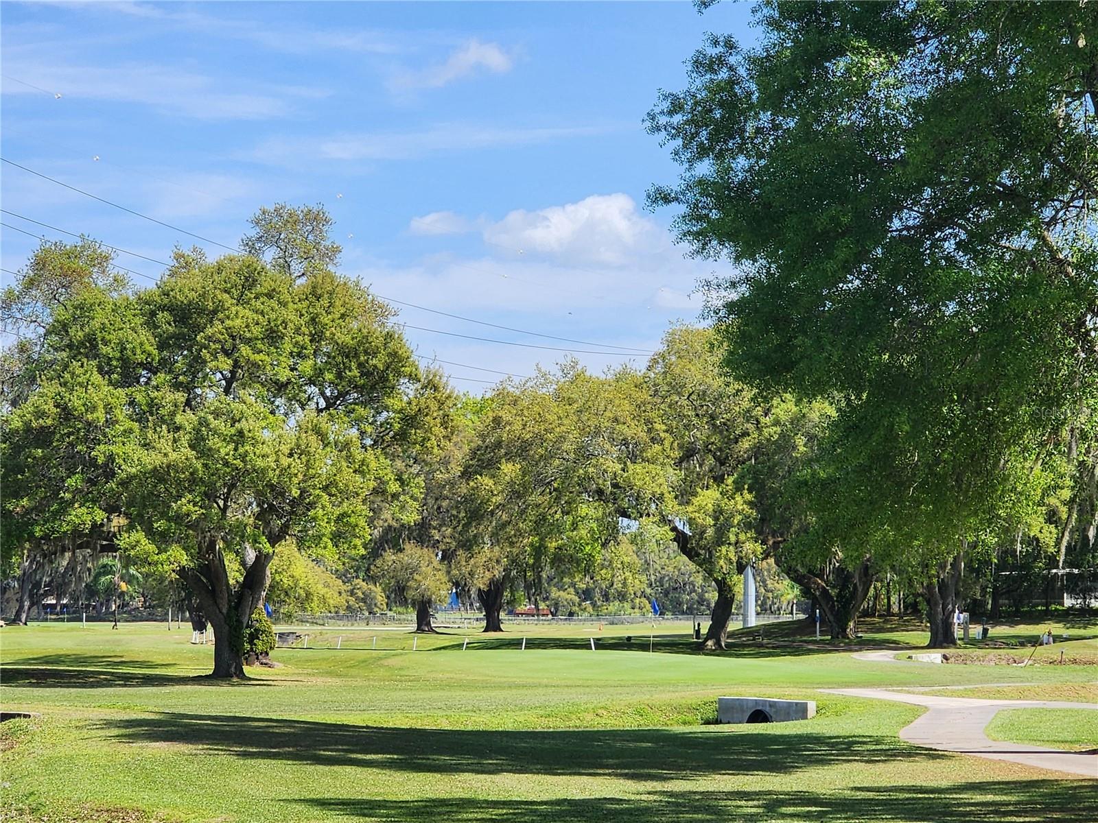 Image 13 of 42 For Pawnee Street