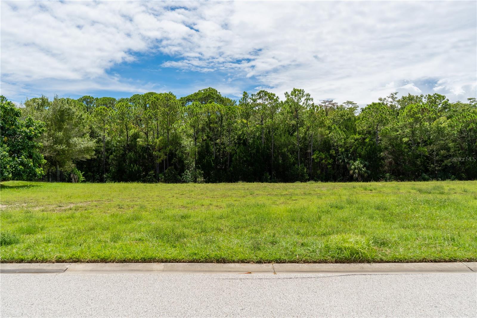 Image 5 of 16 For 4050 Jewfish Drive