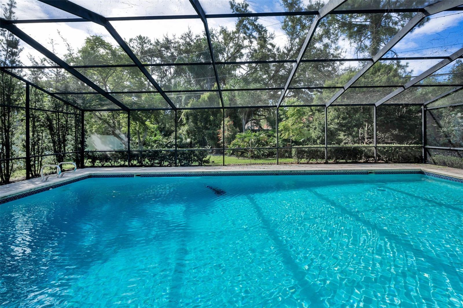 Image 52 of 82 For 3130 Tarpon Woods Boulevard