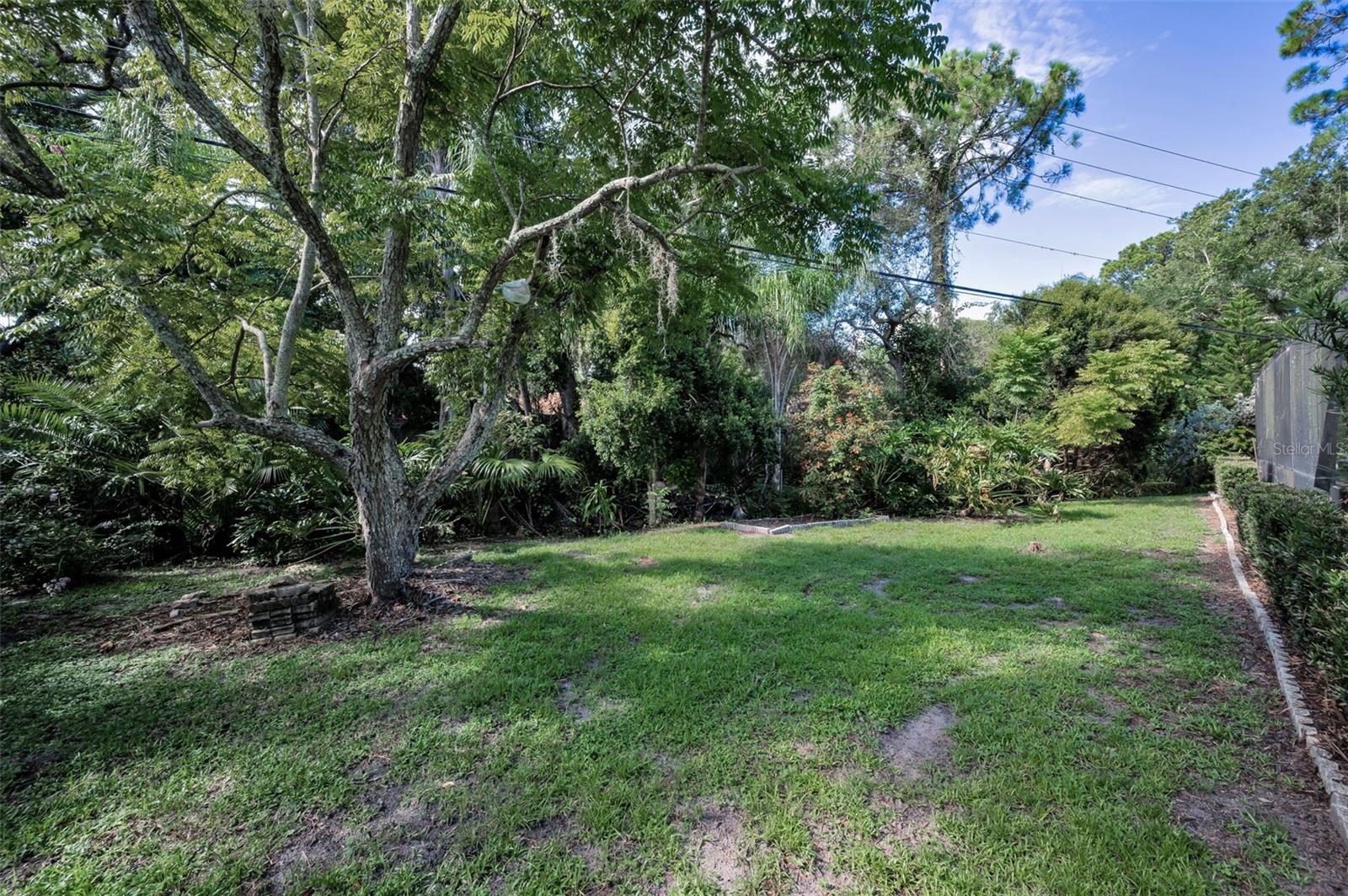 Image 62 of 82 For 3130 Tarpon Woods Boulevard