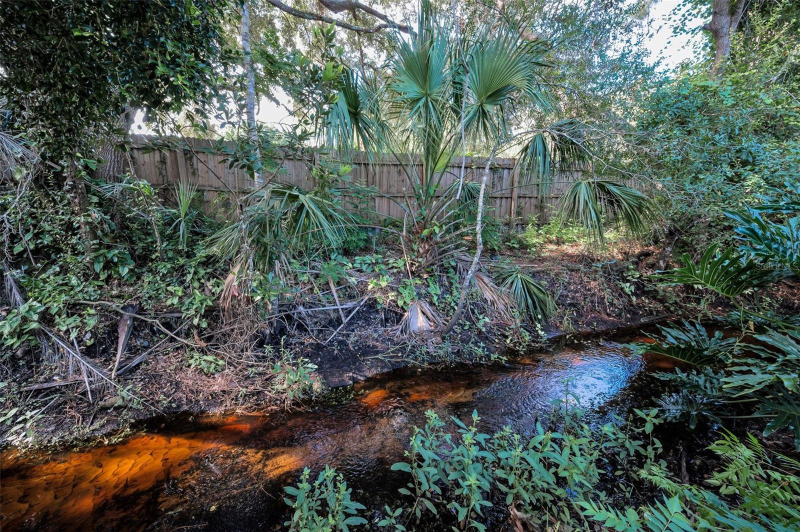 Image 64 of 82 For 3130 Tarpon Woods Boulevard