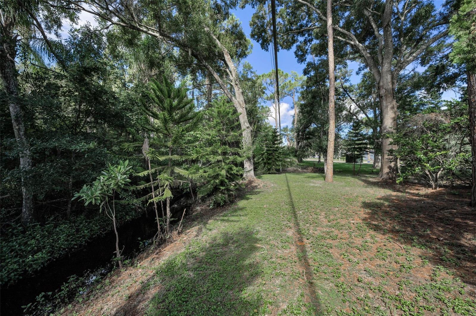Image 68 of 82 For 3130 Tarpon Woods Boulevard