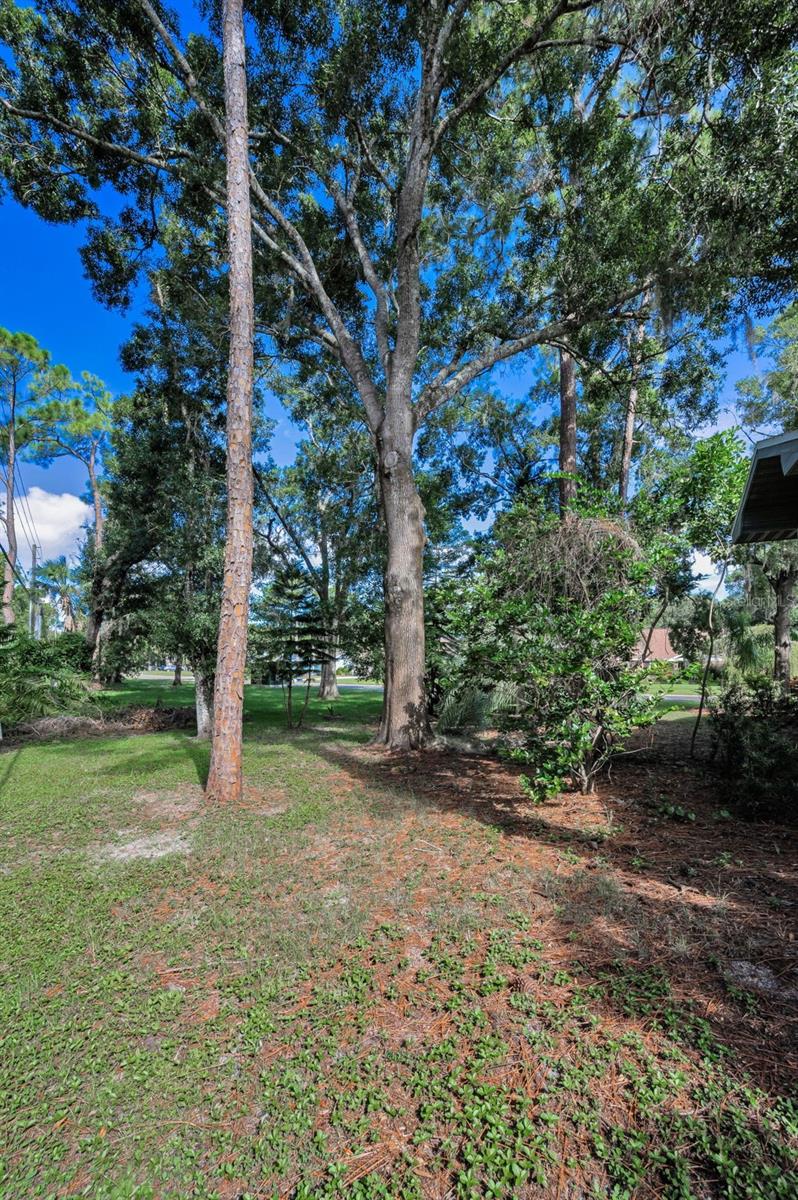 Image 69 of 82 For 3130 Tarpon Woods Boulevard
