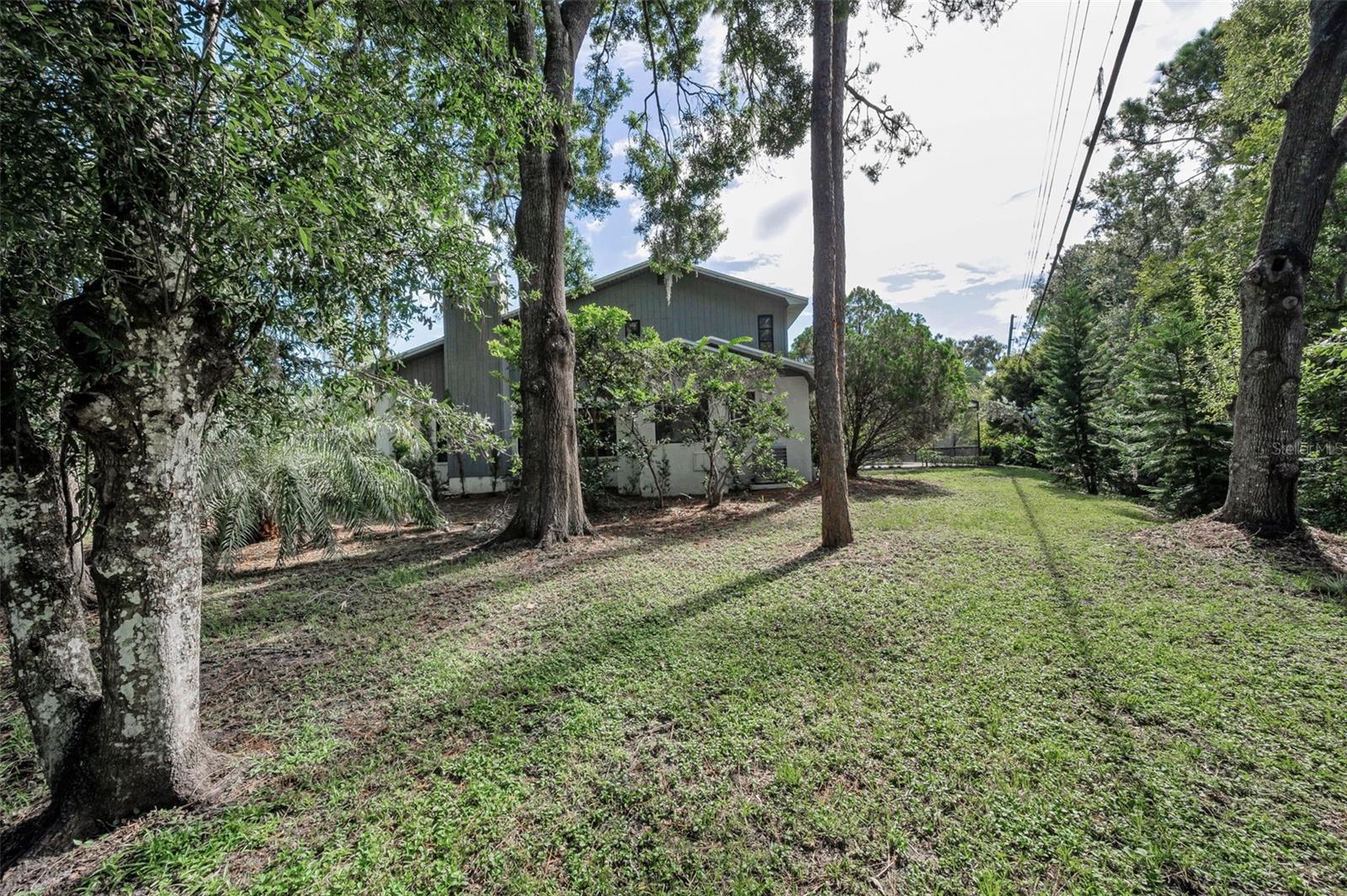 Image 70 of 82 For 3130 Tarpon Woods Boulevard