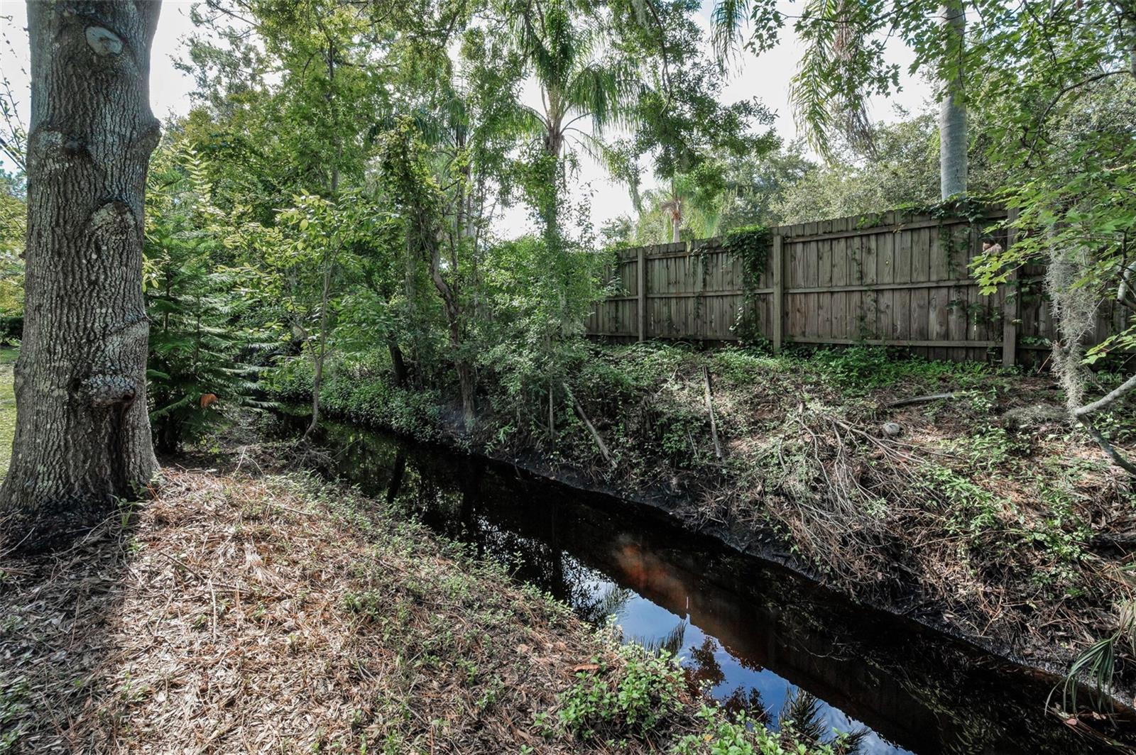 Image 71 of 82 For 3130 Tarpon Woods Boulevard