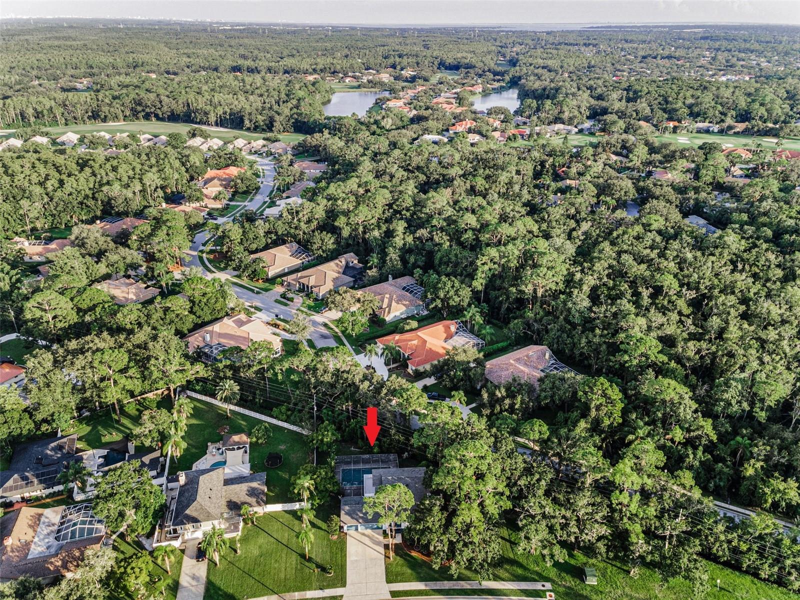 Image 73 of 82 For 3130 Tarpon Woods Boulevard