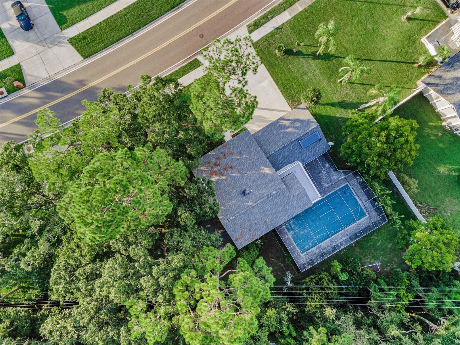 Image 75 of 82 For 3130 Tarpon Woods Boulevard