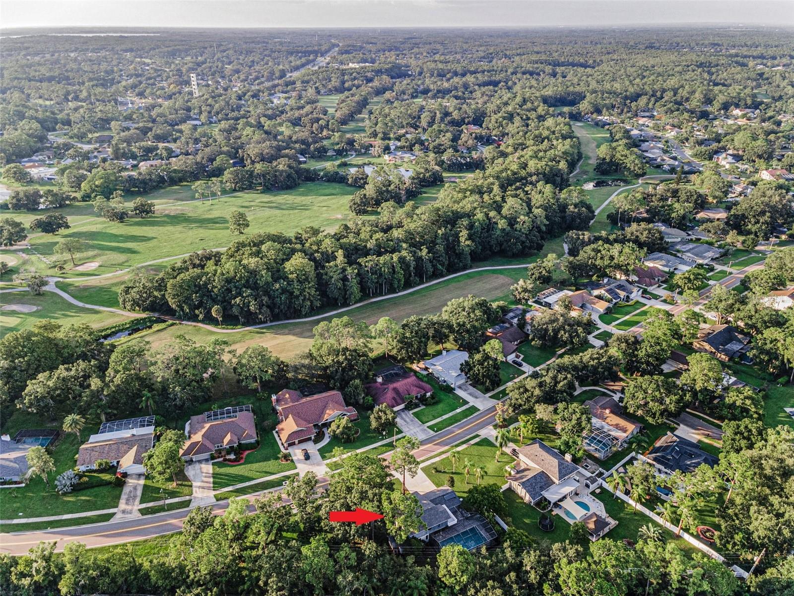 Image 8 of 82 For 3130 Tarpon Woods Boulevard