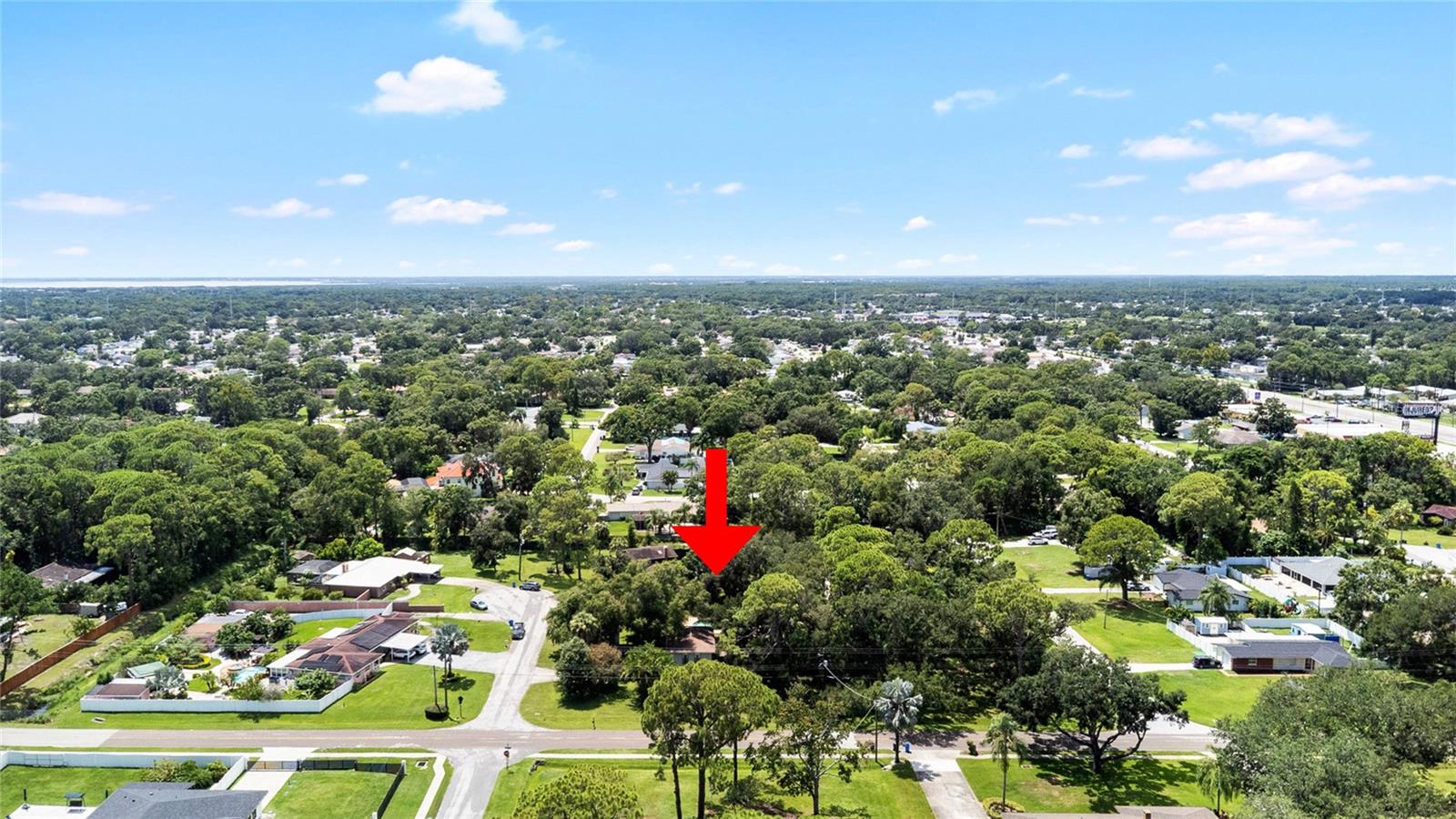 Image 65 of 77 For 8304 Pat Boulevard