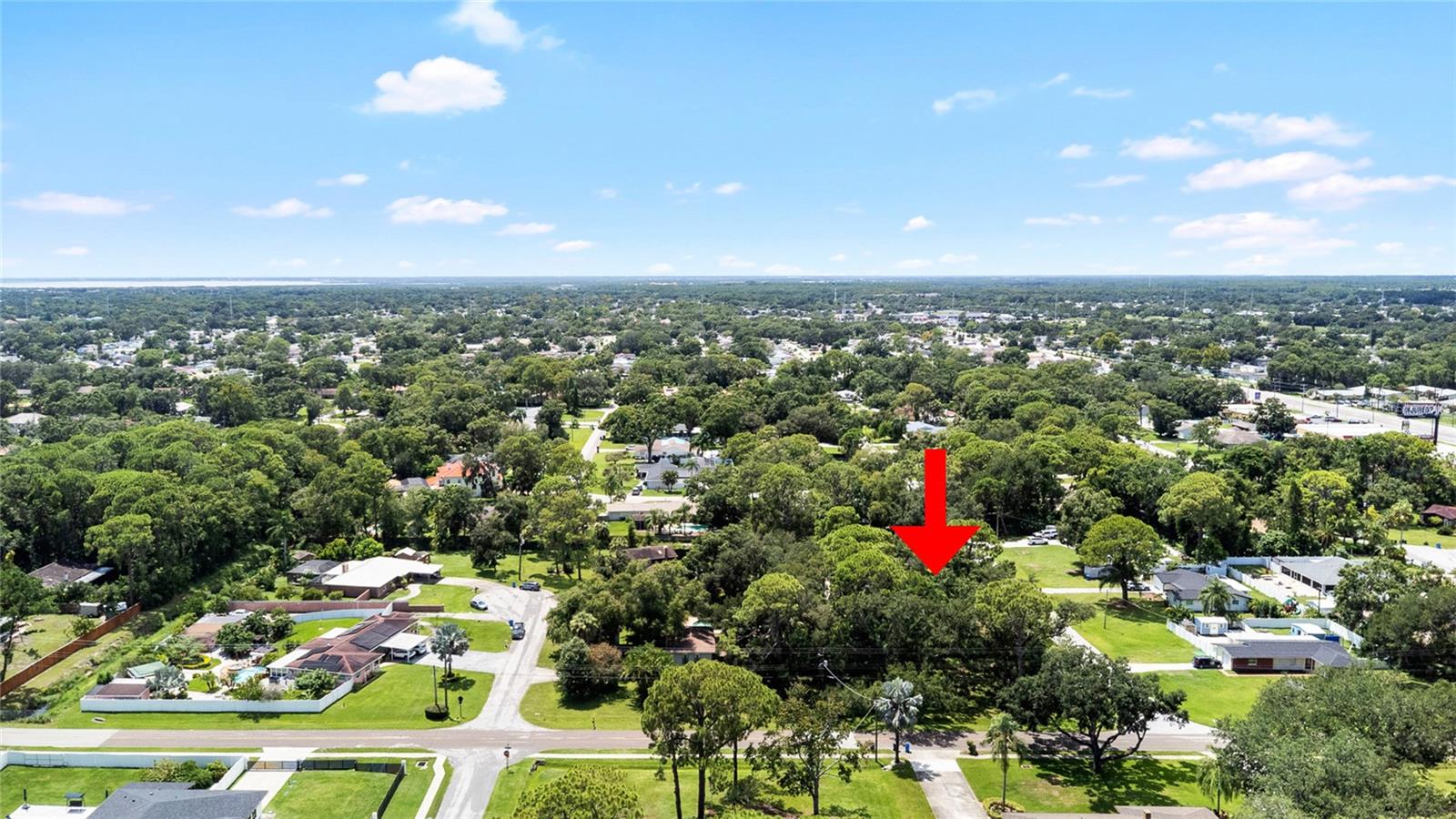 Image 66 of 77 For 8304 Pat Boulevard