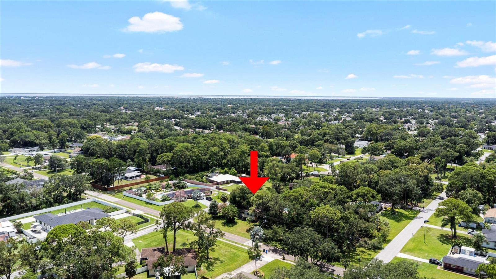 Image 69 of 77 For 8304 Pat Boulevard