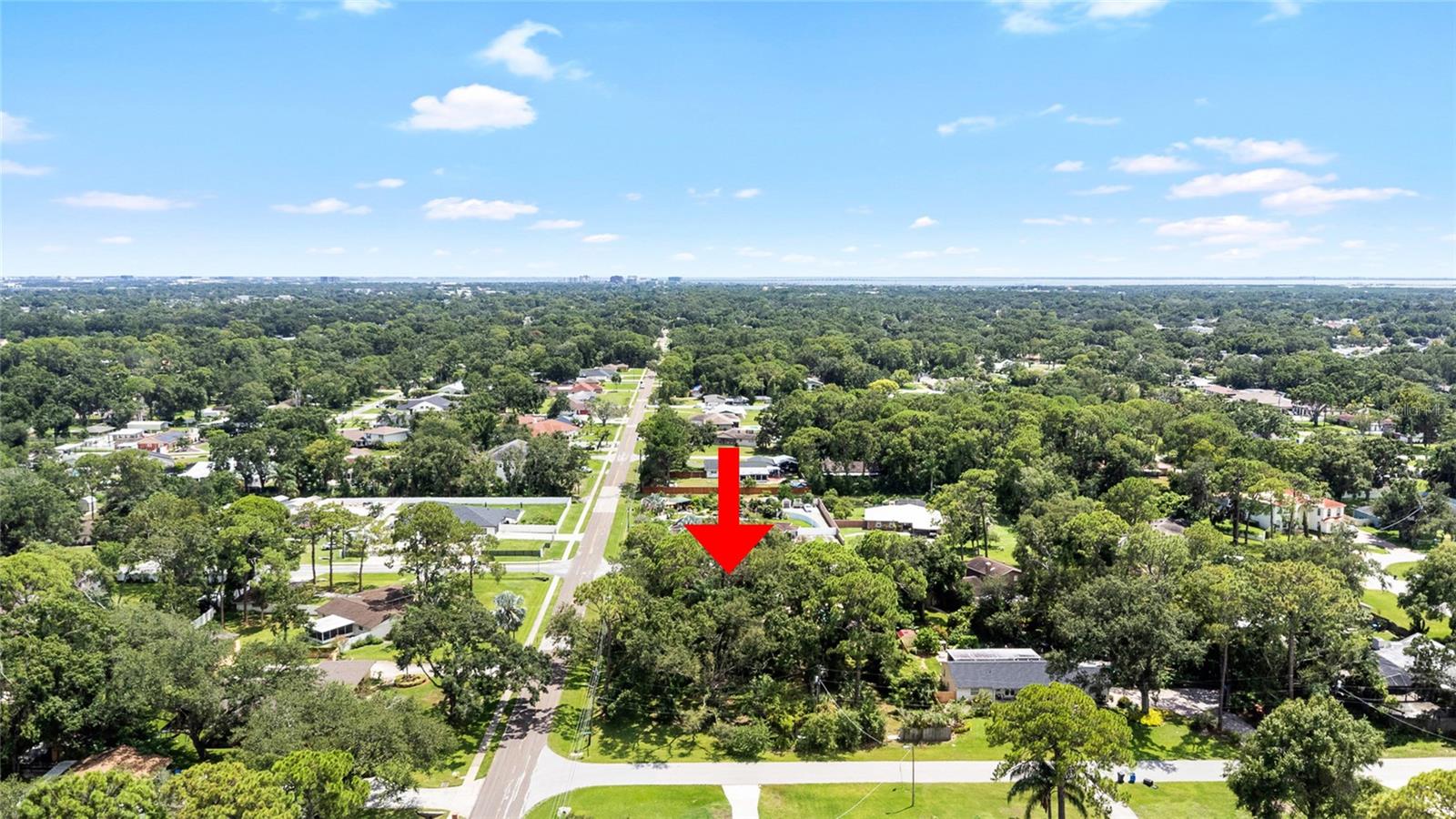 Image 73 of 77 For 8304 Pat Boulevard