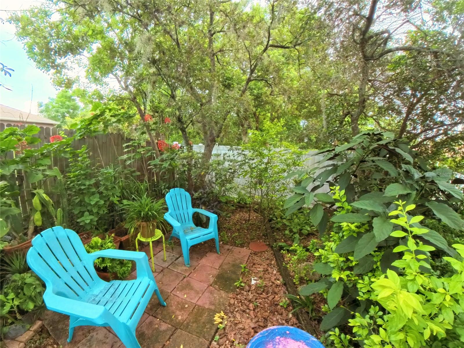 Image 37 of 42 For 12411 Talpa Street