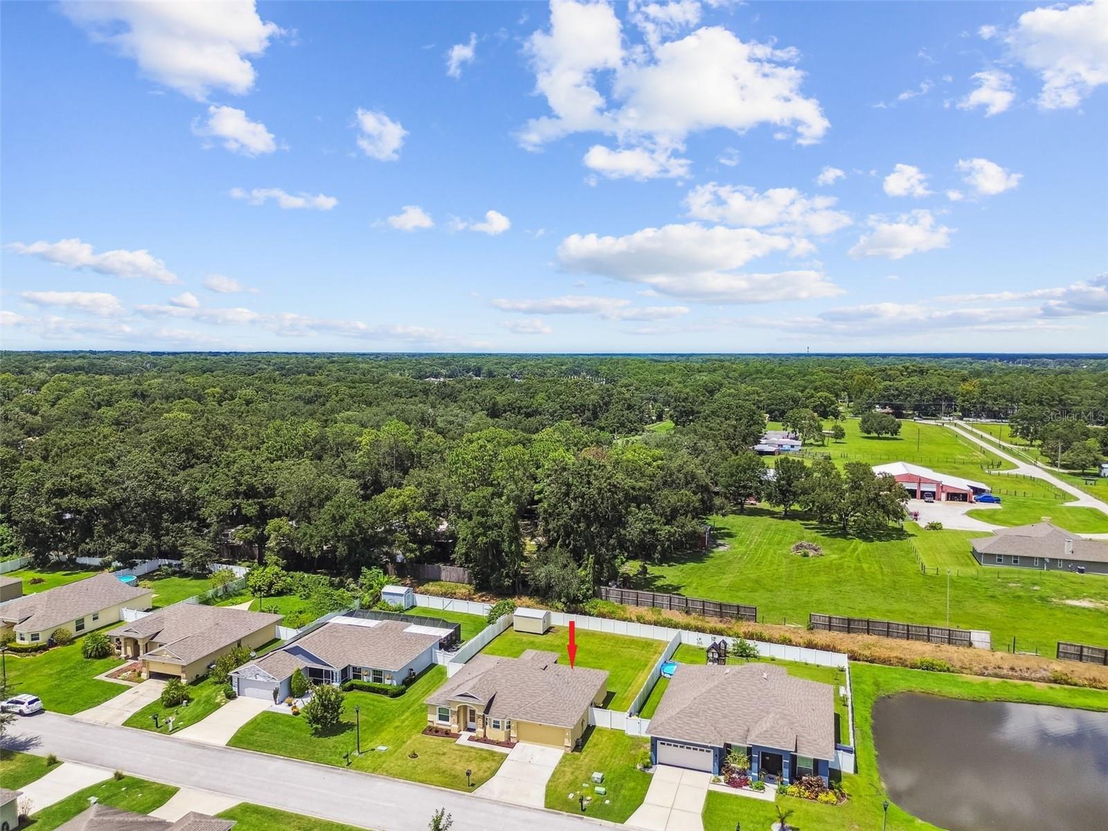 Image 54 of 72 For 6937 Minaxi Drive