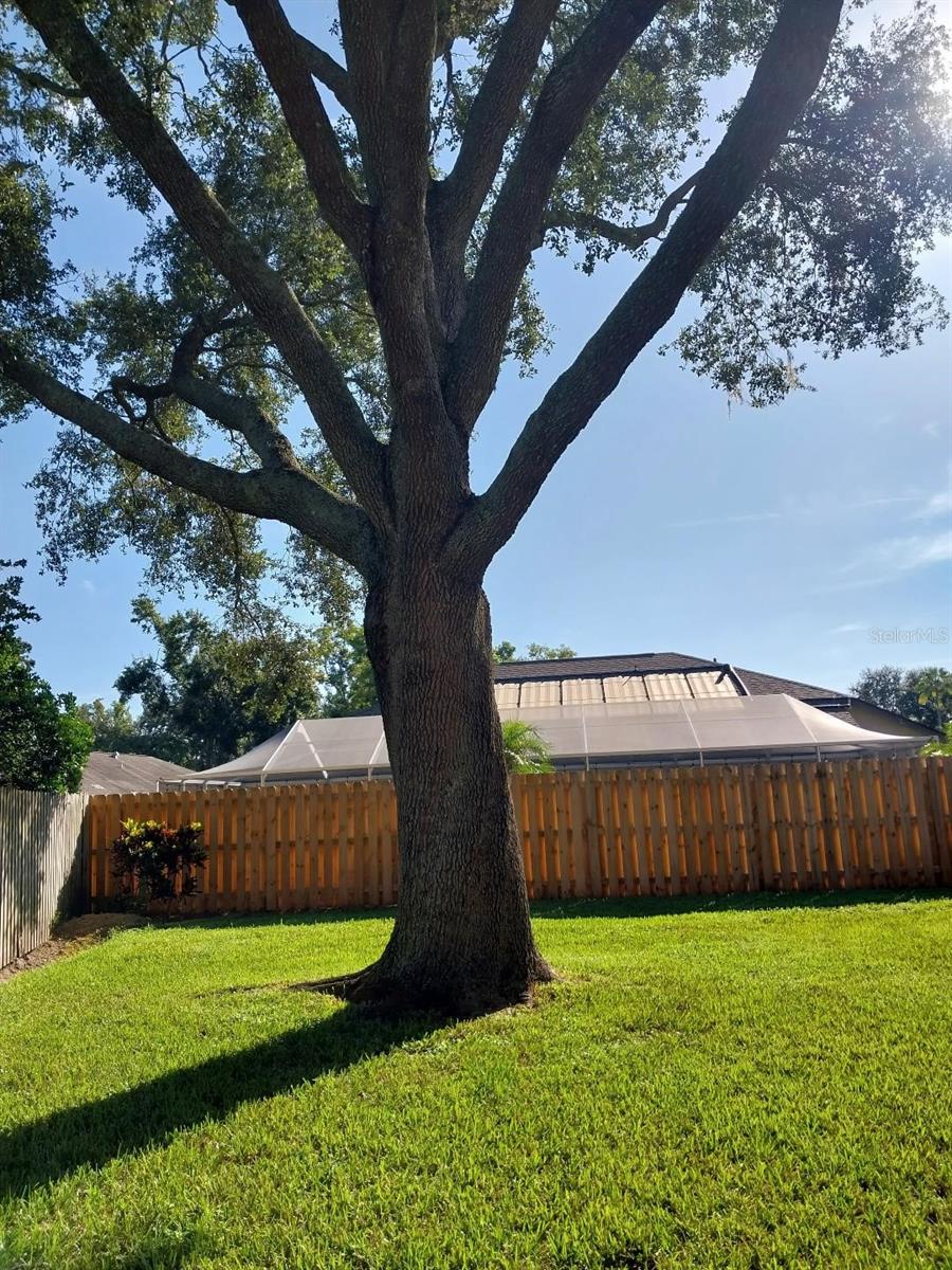 Image 25 of 26 For 16705 Sheffield Park Drive