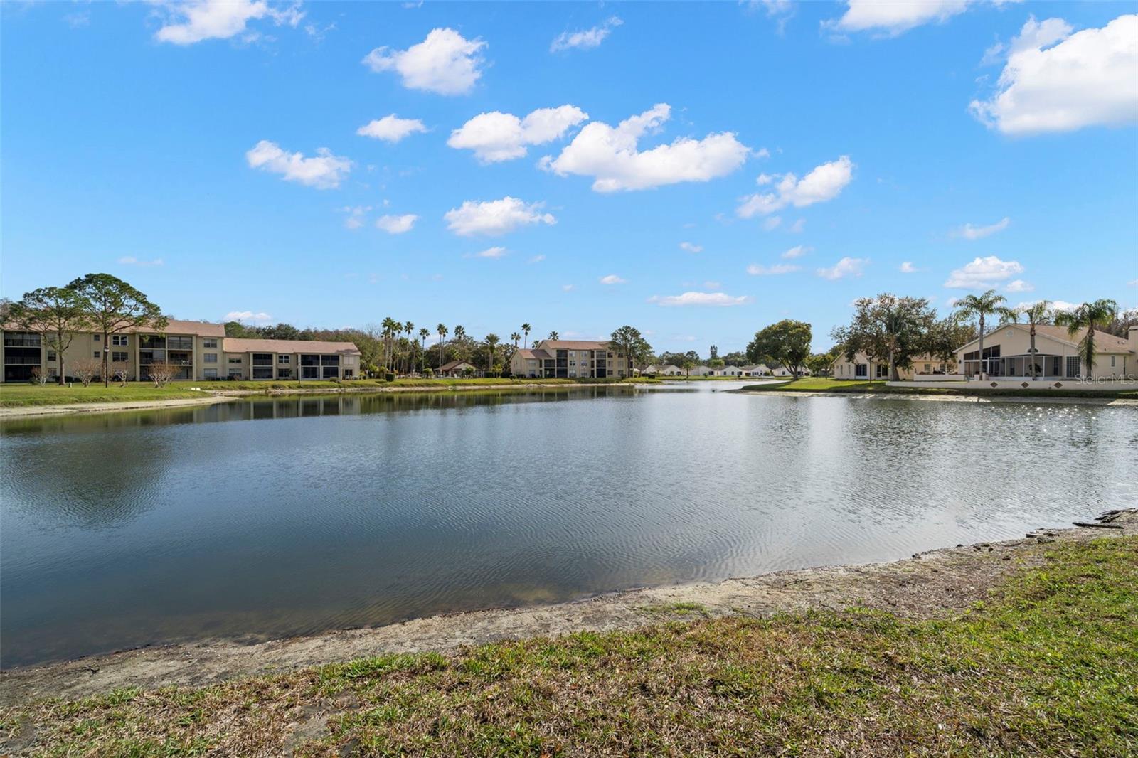 Image 15 of 29 For 4575 Whitton Way 1118