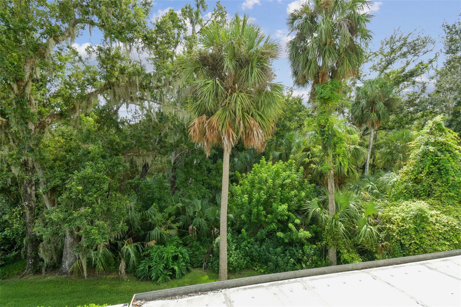 Image 5 of 100 For 27734 Indigo Pond Court